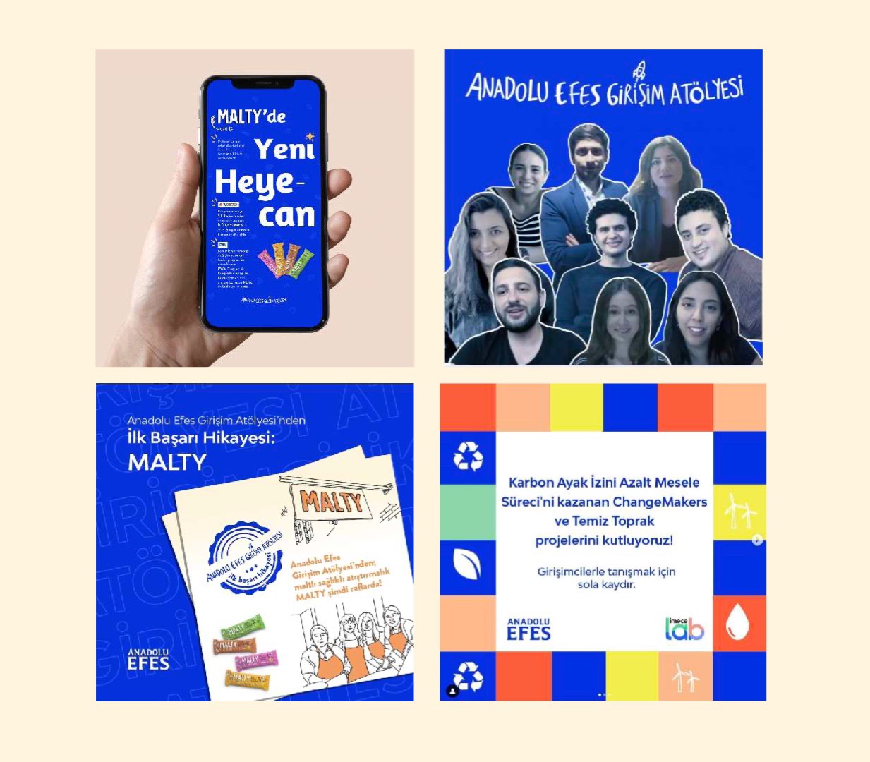 Anadolu Efes case study