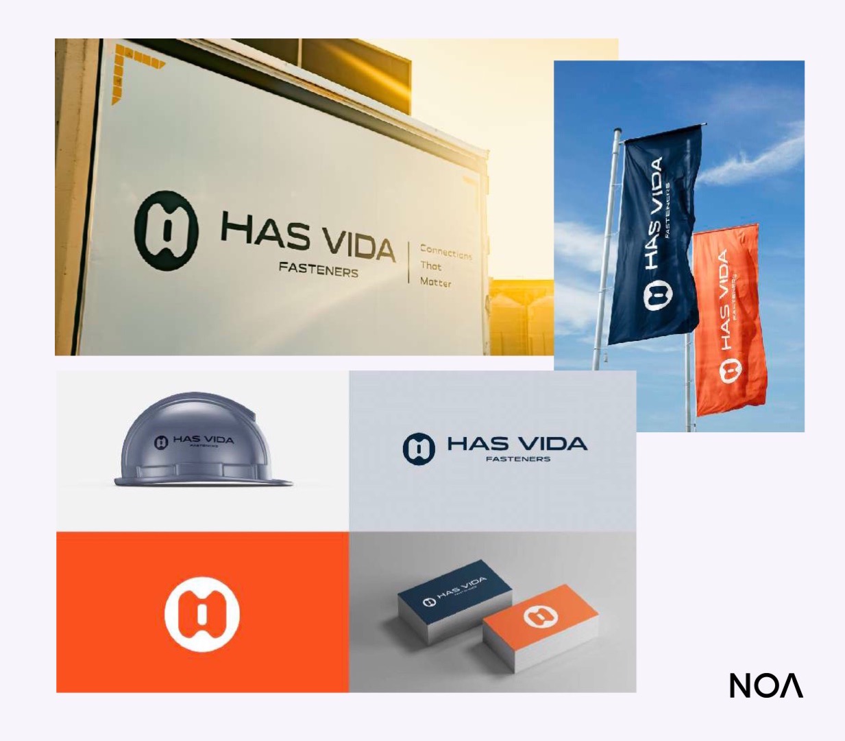 Has Vida case study