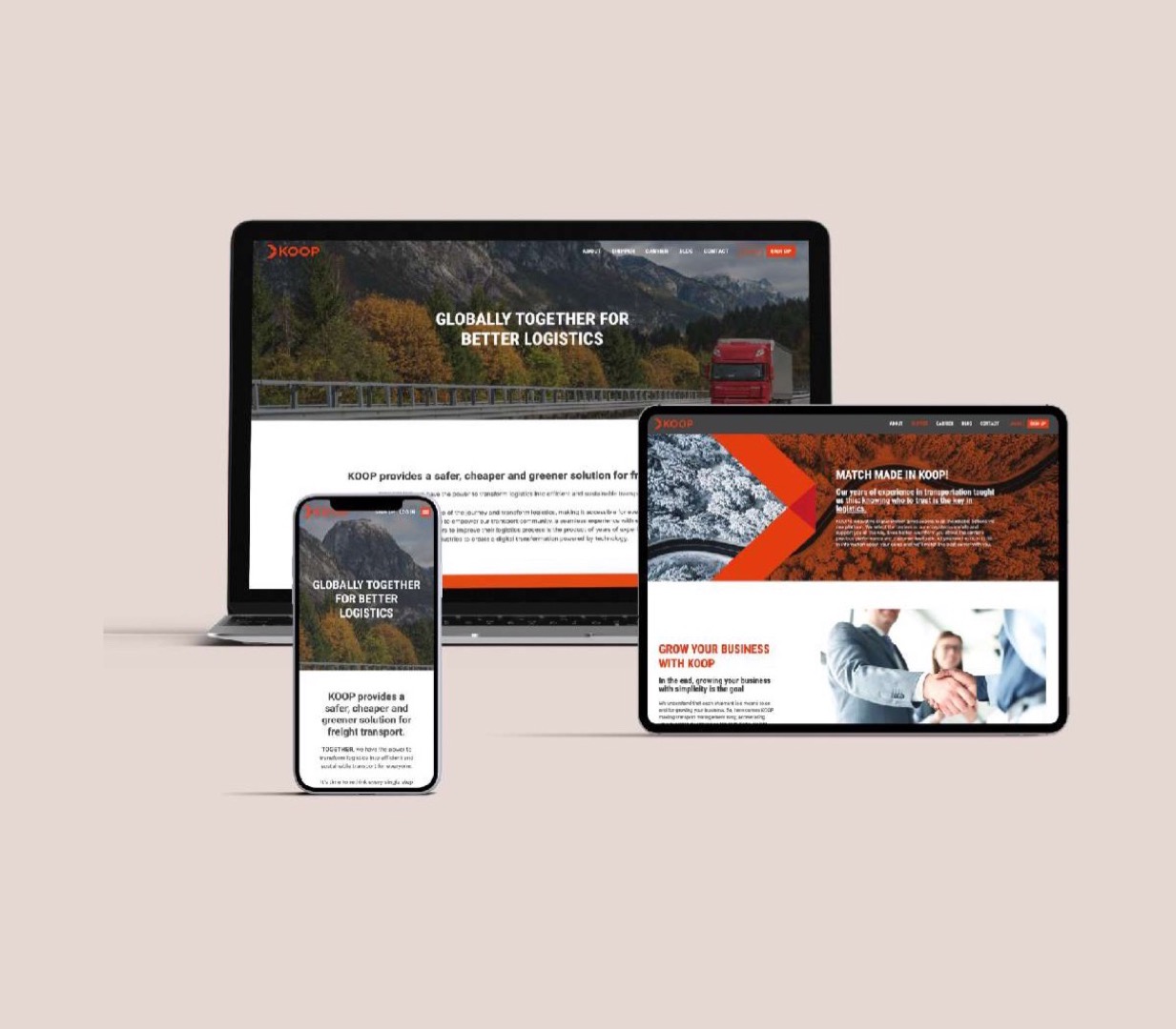 Koop case study
